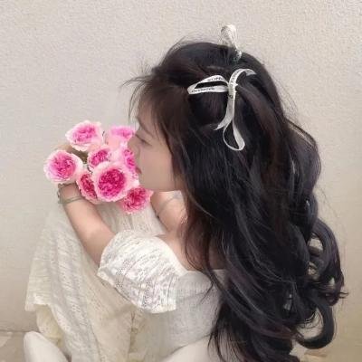 狮子王们的夏天